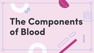 NSW Y1112 PDHPE The Components of Blood [upl. by Aeriel]