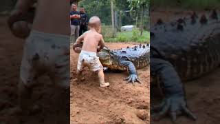 Cute baby is playing with crocodile funny юмор laught comedyprank funnyclipsrus play [upl. by Ronnica]