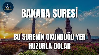 BAKARA SURESİ  OKUNDUĞU YER HUZUR DOLAR  Kuran Dinle [upl. by Eachern95]