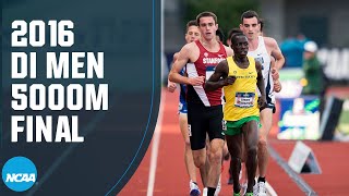 Mens 5000m  2016 NCAA outdoor track and field championship [upl. by Halullat719]