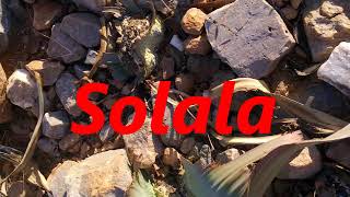 Solala by KOP  Walter quotKOPquot Sithole [upl. by Llejk544]