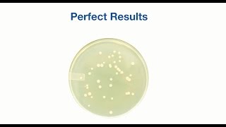 Manual Methods vs Microbiologics Quantitative Controls [upl. by Akimit]