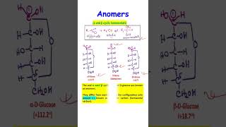 Anomers biochemistry carbohydrates biomolecule [upl. by Champ]