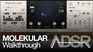 NI Reaktor  Introduction to Molekular  How to Tutorial [upl. by Sikata355]