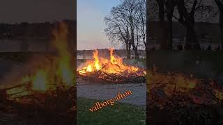 Valborg 😍 subscribe sweden valborg like 2024 [upl. by Ettelloc351]