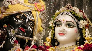 Tulasi Arati  ISKCON Arati Kirtan [upl. by Wollis]