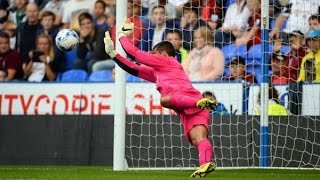 Best of Adam Federici in 2014  Australia and Reading FC Goalkeeper [upl. by Enovahs]