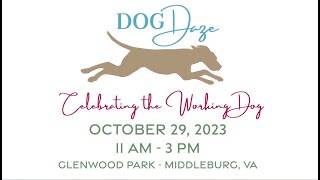 Dog Daze 2023 Masters of the Foxhounds Association Foundation [upl. by Eddy]