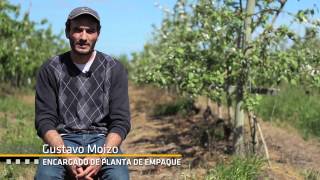 Uruguay Agrointeligente  Documental sobre Hortifruticultura [upl. by Blithe]