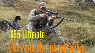 Blaser k95 Ultimate cazando ciervas en alta montaña [upl. by Amund]