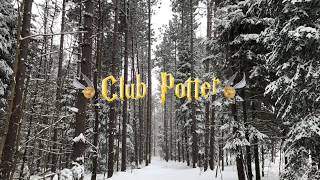 PODCAST EP 1 ⚡ La historia de Ilvermorny Pottermore Club Potter ⚡ [upl. by Pulchia685]