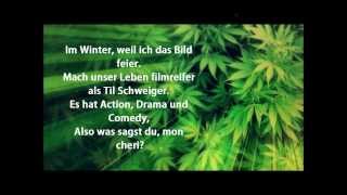 Alligatoah  willst du lyrics [upl. by Mack]