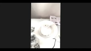 Petsafe Filtered Water Fountain For Pets unboxing and assembly [upl. by Lleuqram450]