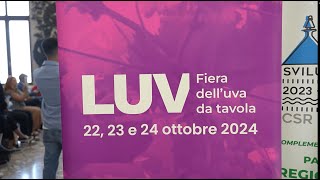 E iniziato il count down per linizio della Fiera LUV [upl. by Eddina]