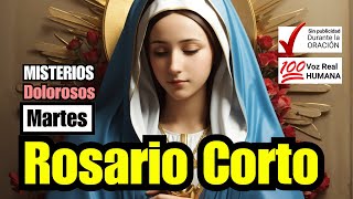 A REZAR EL ROSARIO CORTO DE HOY Martes 22 de OCTUBRE DOLOROSOS Guía Práctica para Hacer el Rosario [upl. by Lletnahc]