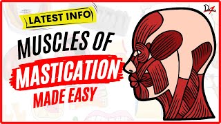 Muscles of Mastication Made Easy [upl. by Ahsiuqel]