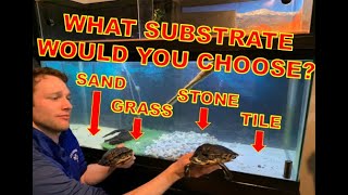 Best Turtle Tank Substrates  Shelling Out the Basics [upl. by Oralle]