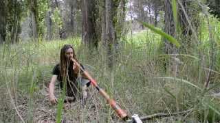 Didgeridoo Meditation Nature Sounds Relax in Nature [upl. by Limhaj422]