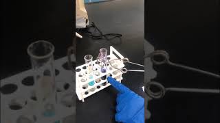 10 Biuret test for proteins and amino acids [upl. by Llevrac935]