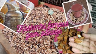 Kashmiri famous gier pakode  pehle baar try kiyaSiblingvlogs2023 bintihawa8203 [upl. by Arlene]