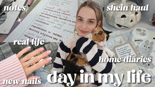 DAY IN MY LIFE shein haul new nails kalendarze adwentowe pogadankowy vlog [upl. by Najib]