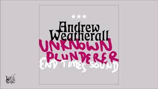 Andrew Weatherall  Unknown Plunderer Manfredas Remix [upl. by Patrice]