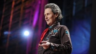 The world needs all kinds of minds  Temple Grandin [upl. by Mackay]