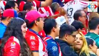 Chivas vs Pumas 31  All Goals and Highlights  Liga MX Clausura 2024  25022024 [upl. by Abdu175]