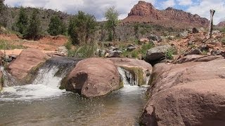 Fishing in Zion National Park [upl. by Atteuqehs]