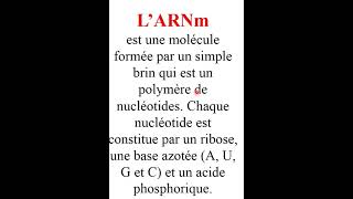 2 bac définition 6  ARNm [upl. by Kcirb]