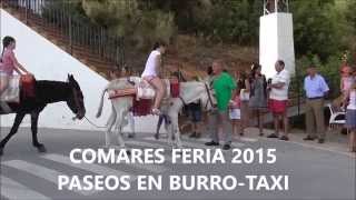 BURROTAXI COMARES FERIA 2015 [upl. by Gustafson]