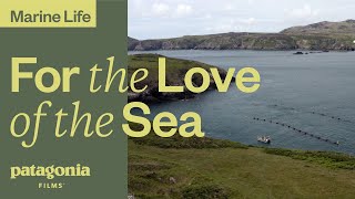 For the Love of the Sea  Patagonia Films [upl. by Jamieson]