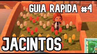 Guía rápida de flores híbridas 4 quotJACINTOSquot  Animal Crossing  New Horizons en ESPAÑOL [upl. by Caterina576]