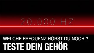 Hörst du noch hohe Frequenzen  Teste dein Gehör von 4000 Hz bis 21 kHz [upl. by Ika]