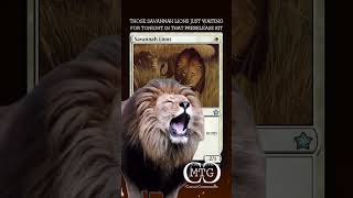 MTG Foundations Prerelease is Tonight with savannahlion3081  MTG Casual Commander mtgmemes fyp [upl. by Shena]