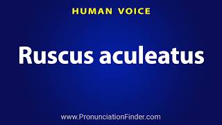 How To Pronounce Ruscus aculeatus [upl. by Rosenfeld941]