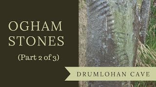 Ogham Stones  the Ancient Irish Alphabet at Drumlohan Cave Part 2 of 3 [upl. by Audie]