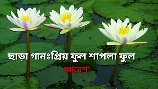 প্রিয় ফুল শাপলা ফুল ।। Priyo ful shapla ful ।। Aiesha [upl. by Pedersen]