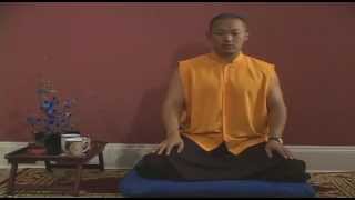 Meditation Instruction From Turning the Mind into an Ally Sakyong Mipham Rinpoche Shambhala [upl. by Ahkihs686]