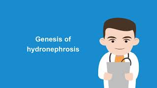 How to diagnose hydronephrosis with the help of ultrasound [upl. by Ycaj]