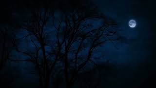 Tree Tops Blowing on a Windy Night Under The Moonlight for Sleep Insomnia Tinnitus [upl. by Dahsraf]