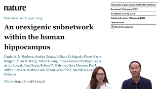 뇌과학 리뷰 quot뇌리quot An orexigenic subnetwork within the human hippocampus [upl. by Oileduab]