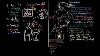 Hypertension artérielle  HTA  Docteur Synapse [upl. by Birdt]