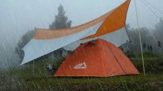 SOLO CAMPING IN HEAVY RAIN strong rainstorm soothing rain sound ASMR [upl. by Allac]