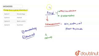 Fungi show a great diversity in  CLASS 12  BIOLOGICAL CLASSIFICATION  BIOLOGY  Doubtnut [upl. by Jonina]