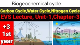 EVS Lecture Unit 1 Biogeochemical Carbon CycleWater Cycle Nitrogen Cycle Environmental Studies [upl. by Huskey]