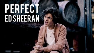 Perfect  Ed Sheeran Cover by Alexander Stewart [upl. by Eizzo]