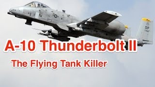 Enemies like ISIS hide when the A10 Thunderbolt II aka Warthog is Flying Above [upl. by Kalbli]