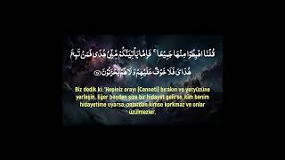 Beautiful Quran Recitation with Turkish Translation I Surah Al Baqarah 3739 I Wadee Al Yemeni [upl. by Leyes162]