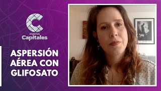 Nuevo round contra la aspersión aérea con glifosato  Puntos Capitales [upl. by Adnirim]